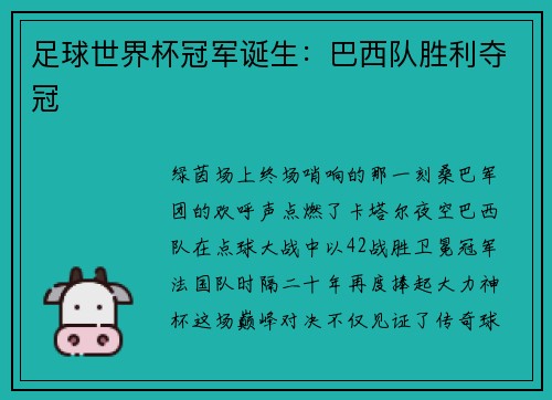 足球世界杯冠军诞生：巴西队胜利夺冠